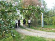 NORDIC WALKING SULLE COLLINE DI NIZZA