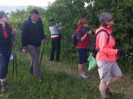 CAMMINATE IN NORDIC WALKING