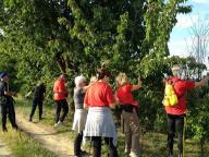 CAMMINATE IN NORDIC WALKING