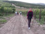 CAMMINATA IN NORDIC WALKING CON PAOLA R.