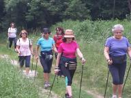 CAMMINATE IN NORDIC WALKING