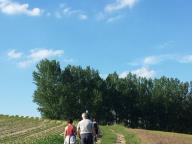 CAMMINATE IN NORDIC WALKING