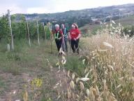 CAMMINATA IN NORDIC WALKING CON PAOLA R.