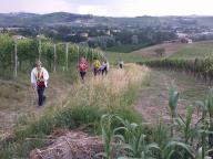 CAMMINATA IN NORDIC WALKING CON PAOLA R.