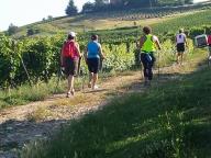 CAMMINATE IN NORDIC WALKING