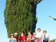 CAMMINATA IN NORDIC WALKING CON PAOLA R.