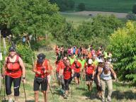 NORDIC WALKING FESTIVAL