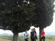 NORDIC WALKING SULLE COLLINE DI NIZZA