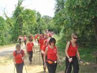 NORDIC WALKING FESTIVAL