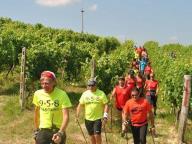 NORDIC WALKING FESTIVAL