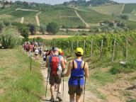 NORDIC WALKING FESTIVAL