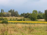 CAMMINATA IN NORDIC WALKING CON PAOLA R.