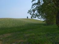 NORDIC WALKING SULLE COLLINE DI NIZZA