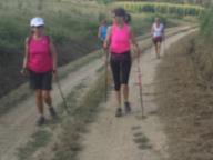 CAMMINATE IN NORDIC WALKING