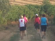 CAMMINATE IN NORDIC WALKING