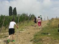 CORSO BASE NORDIC WALKING