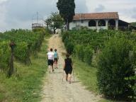 CORSO BASE NORDIC WALKING