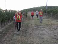 CAMMINATA IN NORDIC WALKING CON PAOLA R.