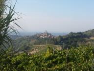 CAMMINATA A ROCCHETTA PALAFEA