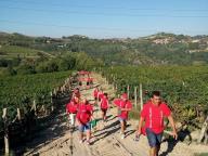 CAMMINATA A ROCCHETTA PALAFEA