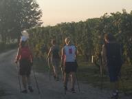 CAMMINATE IN NORDIC WALKING