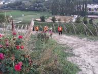 CAMMINATA IN NORDIC WALKING CON PAOLA R.