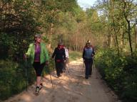 CAMMINATA IN NORDIC WALKING NEI BOSCHI DI VALMANERA