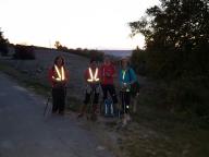 CAMMINATE IN NORDIC WALKING