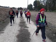 CAMMINATE IN NORDIC WALKING