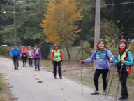 CAMMINATE IN NORDIC WALKING