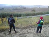 CAMMINATE IN NORDIC WALKING