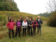 CAMMINATE IN NORDIC WALKING