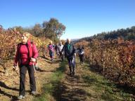 CAMMINATE IN NORDIC WALKING