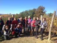 CAMMINATE IN NORDIC WALKING