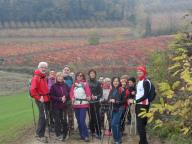 CAMMINATA IN TECNICA NORDIC WALKING