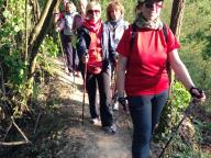 CAMMINATA IN NORDIC WALKING NEI BOSCHI DI VALMANERA