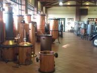 CAMMINATA CON VISITA ALLE DISTILLERIE BERTA 