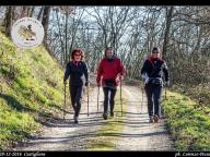 CAMMINATE IN NORDIC WALKING