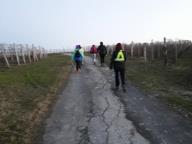 CAMMINATE IN TECNICA NORDIC WALKING