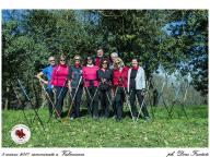 CAMMINATE IN TECNICA NORDIC WALKING