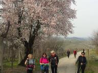 CAMMINATA IN NORDIC WALKING CON PAOLA R.