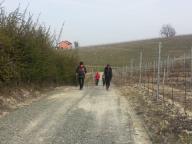 CAMMINATA IN NORDIC WALKING CON PAOLA R.