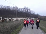 CAMMINATE IN TECNICA NORDIC WALKING