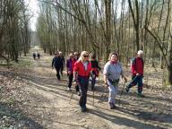 CAMMINATE IN TECNICA NORDIC WALKING