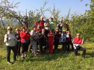 CAMMINATA IN TECNICA NORDIC WALKING