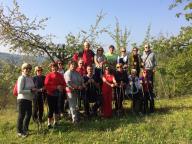 CAMMINATA IN TECNICA NORDIC WALKING