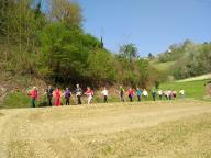 CAMMINATA IN TECNICA NORDIC WALKING