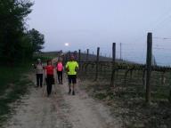 CAMMINATA IN TECNICA NORDIC WALKING