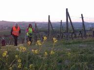 CAMMINATA IN NORDIC WALKING CON PAOLA R.