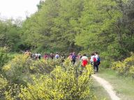 PASQUETTA NEI BOSCHI CON NORDIC WALKING